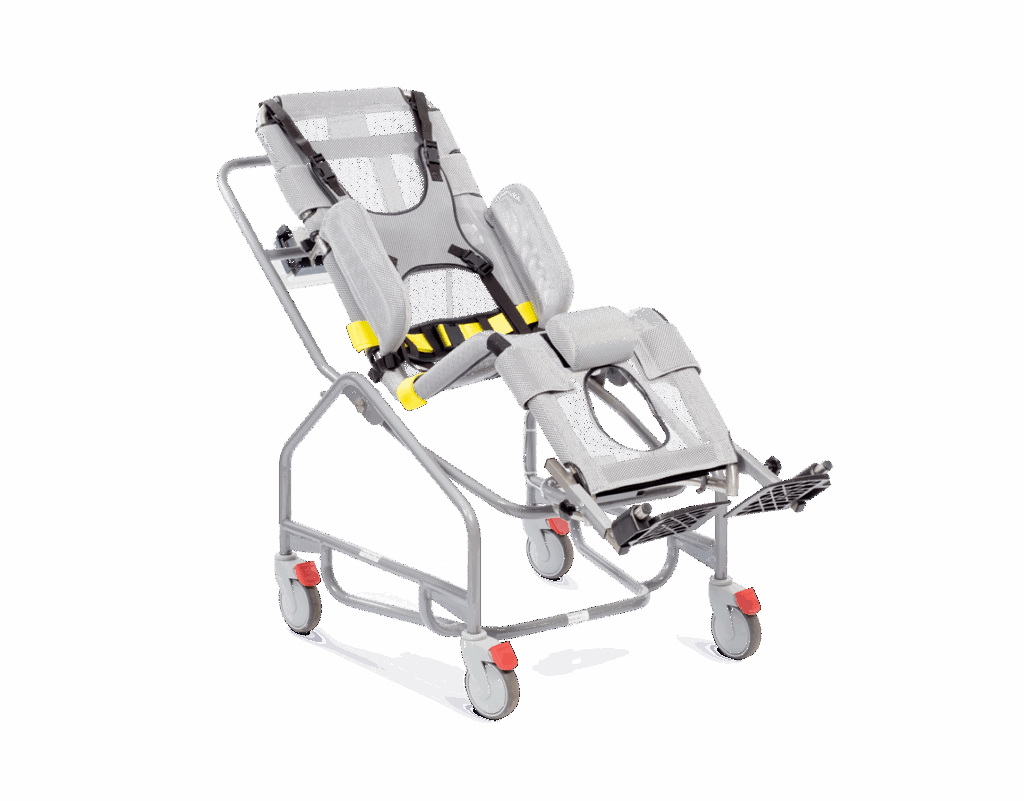 Crest Bathing Chair